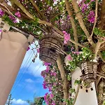 Alle Stelle Bed & Breakfast