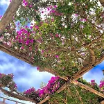Bed & Breakfast Alle Stelle