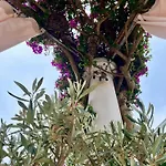 Bed & Breakfast Alle Stelle Anacapri (Isola di Capri)