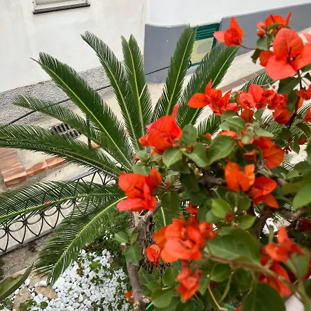 Alle Stelle By Fm, Capri