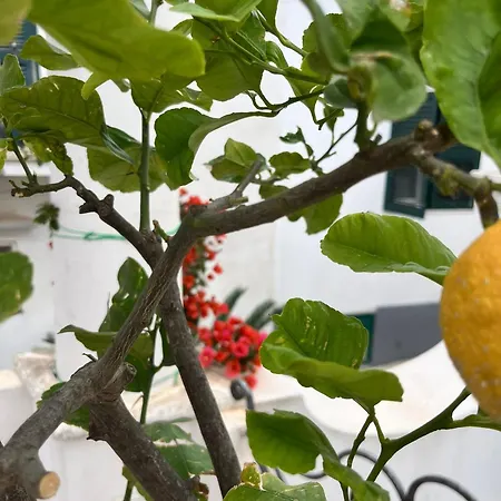 Alle Stelle Alojamento de Acomodação e Pequeno-almoço