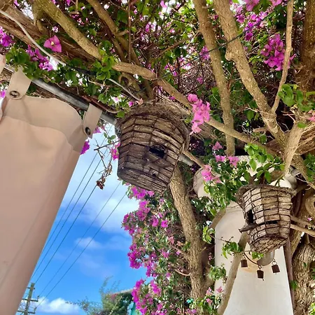 Alle Stelle By Fm, Capri Bed & Breakfast