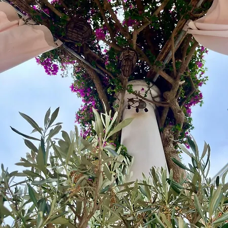 Bed & Breakfast Alle Stelle Anacapri (Isola di Capri)