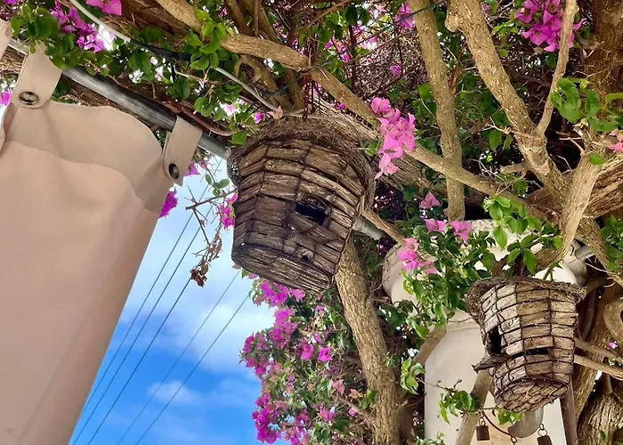 Alle Stelle Frühstückspension