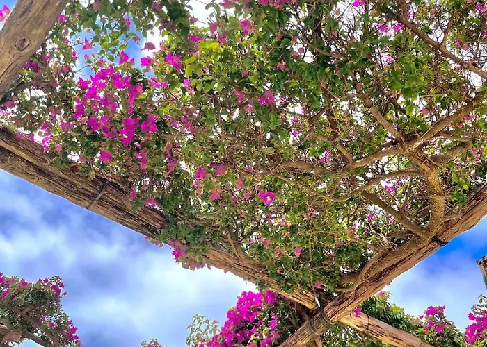 Frühstückspension Alle Stelle