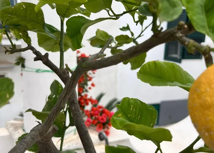 Alle Stelle לינה וארוחת בוקר